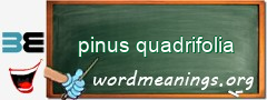 WordMeaning blackboard for pinus quadrifolia